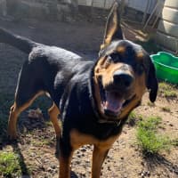 Photo of Bundee