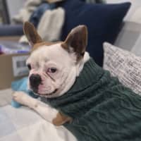 Photo of Pierre