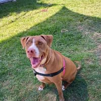 Photo of Xena