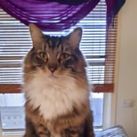 Photo of Milo & Otis