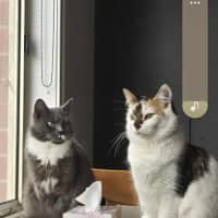 Photo of Evie & Charlotte 