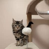 Photo of Rosalita