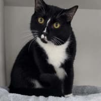 Photo of Boots