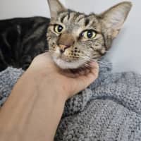 Photo of Squiggs