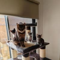 Photo of Minni Mouse