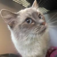 Photo of Evie