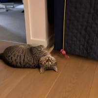 Photo of 💖Rin!!💖