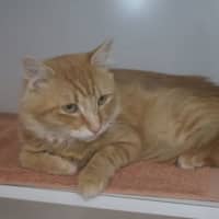 Photo of Omari Jr