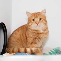 Photo of Nudge