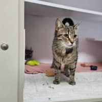 Photo of Eggnogatha Christie