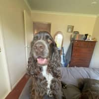 Photo of Khai Illingworth