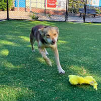 Photo of Jenny