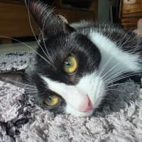 Photo of Jeanie