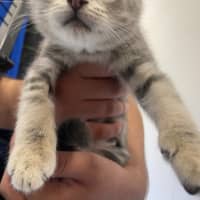 Photo of Valerie And Veronica