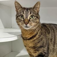Photo of Jovie