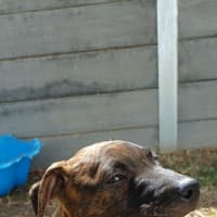 Photo of Chuggy