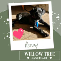 Photo of Kenny