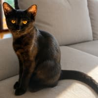 Photo of Elphaba