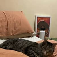 Photo of Henry