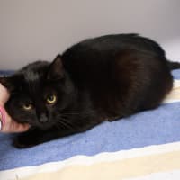 Photo of Agatha