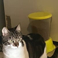 Photo of Christopher 