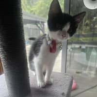 Photo of Jackie Chan