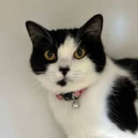Photo of Winnie
