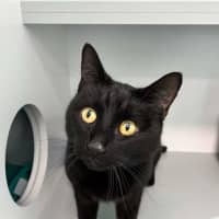 Photo of Missy