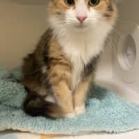 Photo of Katey 