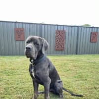 Photo of Clifford