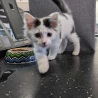 Photo of Frank From National Tiles 