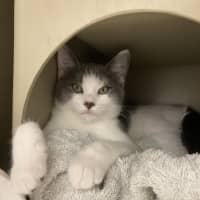 Photo of Josephine