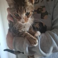Photo of Buddy