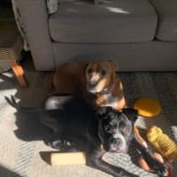 Photo of Harken
