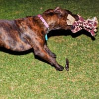 Photo of Coco Chanel