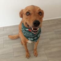 Photo of Ted