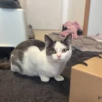 Photo of Dolly