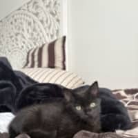 Photo of Tommi