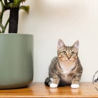 Photo of Eleanor 🌼