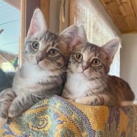 Photo of Mindy And Mork