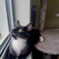 Photo of Ivy
