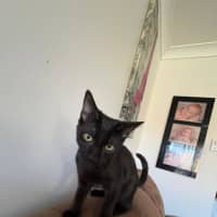 Photo of Roman