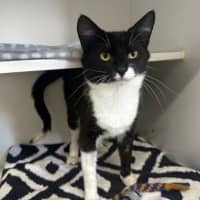 Photo of Pepper