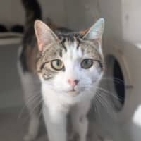 Photo of Millie