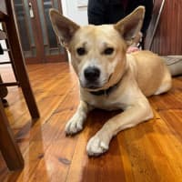 Photo of Leia