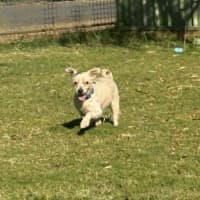 Photo of Max