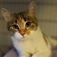 Photo of Laynee 🌺