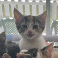 Photo of Kiki   Penelope