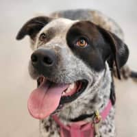 Photo of 🥑 Kevin 5463 🥑