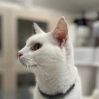 Photo of Moffy (0899)